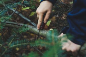 survival tips for wilderness