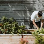 gardening as self-care