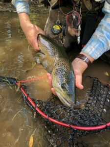 where to fly fishing